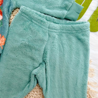 Conj. Casaco Raposa Aventureira e Calça de Pelinho - Verde